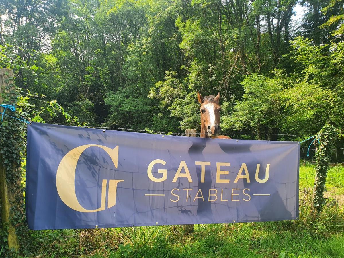 Ferme Equestre & Chambres D'Hotes Gateau Stables Proche Guedelon Saint-Amand-en-Puisaye Kültér fotó