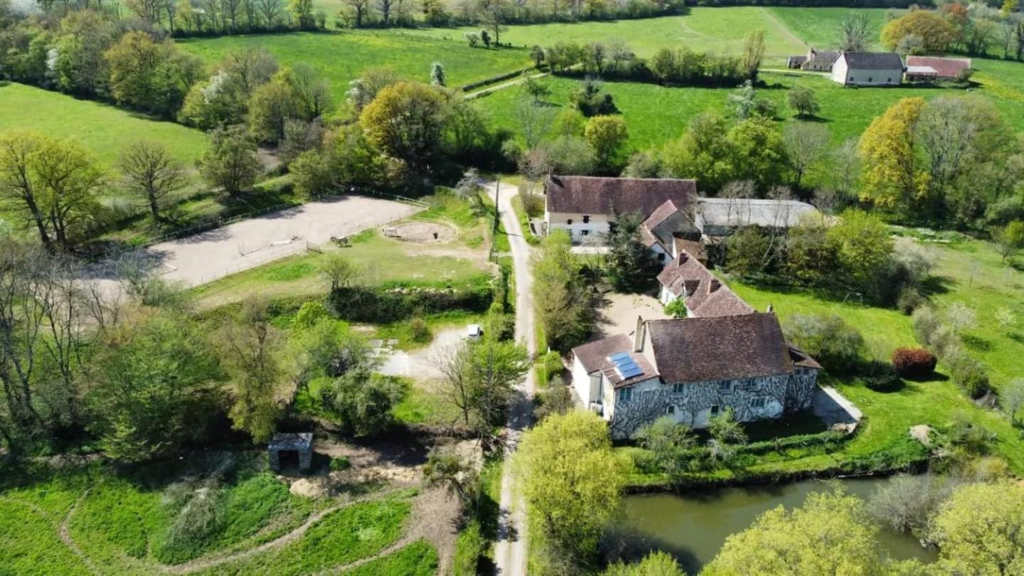 Ferme Equestre & Chambres D'Hotes Gateau Stables Proche Guedelon Saint-Amand-en-Puisaye Kültér fotó