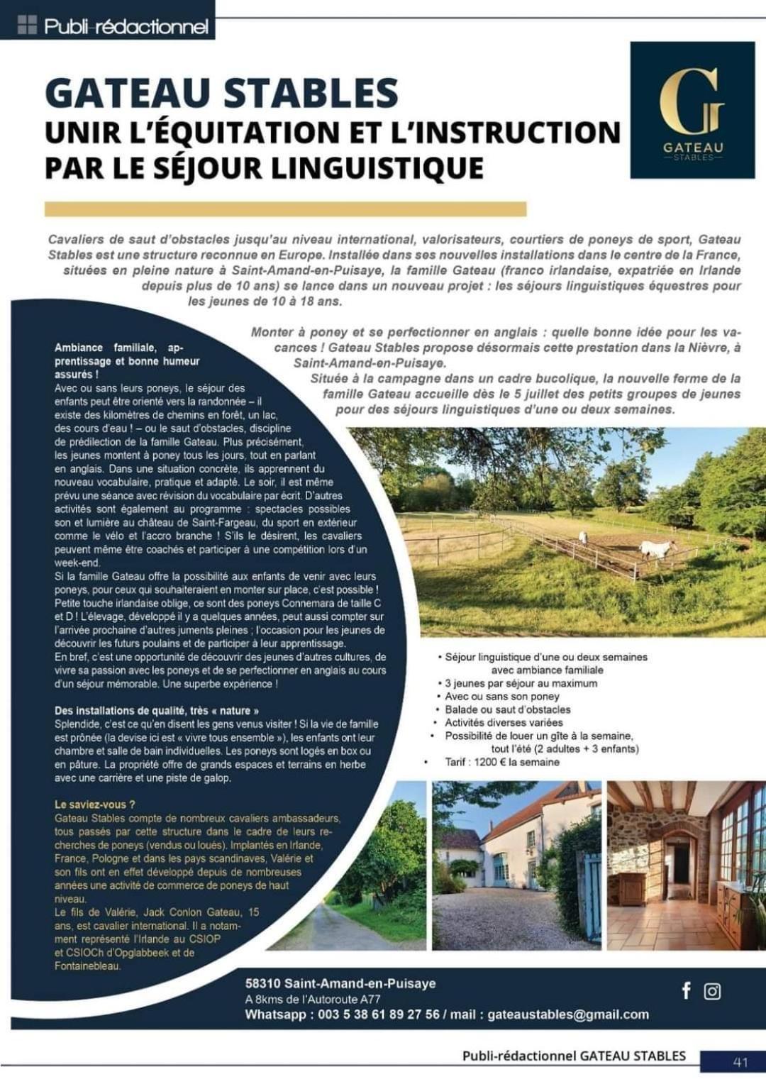 Ferme Equestre & Chambres D'Hotes Gateau Stables Proche Guedelon Saint-Amand-en-Puisaye Kültér fotó