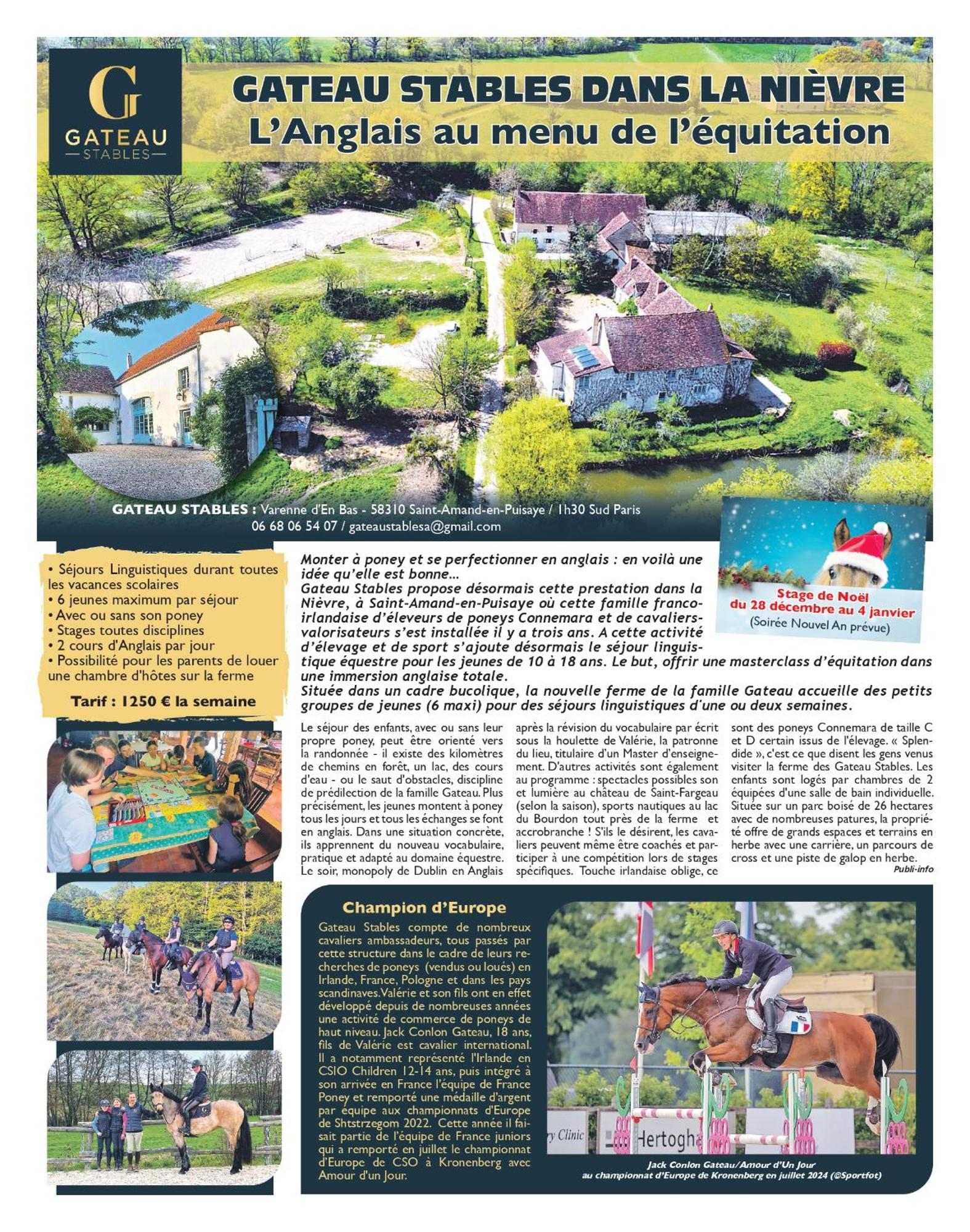 Ferme Equestre & Chambres D'Hotes Gateau Stables Proche Guedelon Saint-Amand-en-Puisaye Kültér fotó